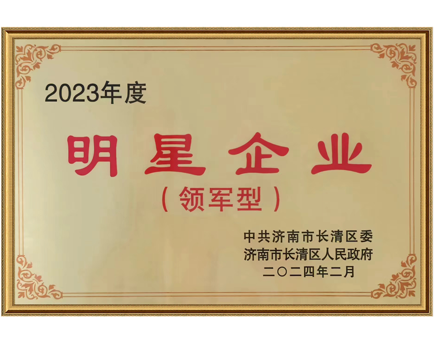 2023年度明星企业
