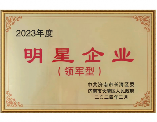 2023年度明星企业