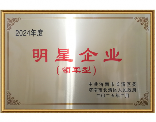 2024年度明星企业