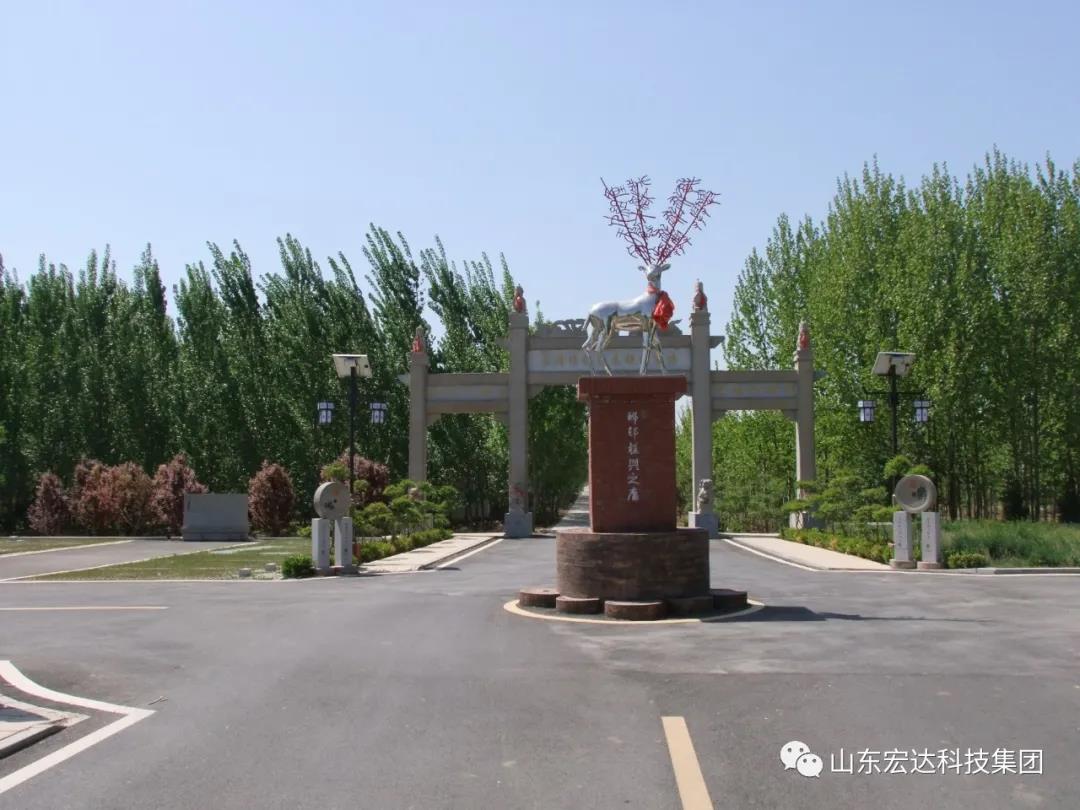 山东星空体育最新官网（China）官方网站集团举办党史学习教育活动