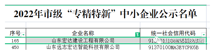 【榜上有名】星空体育最新官网（China）官方网站建设荣获“2022年市级专精特新”企业